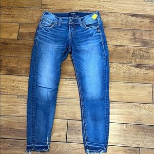 Silver Jeans Elyse ankle skinny